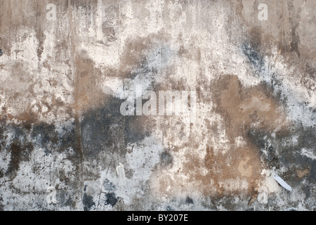 detail of a concrete wall with cracks and white mold Stock Photo