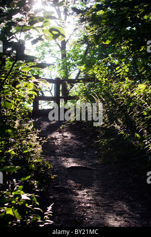 A winding path through the Mississippi Palisades State Park near Savanna, IL. Stock Photo