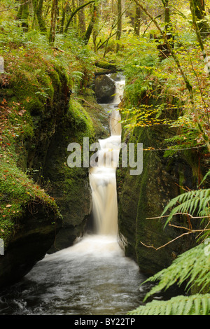 Waterfalls on a woodland stream. Near Pontrhydygroes, Ceredigion, Wales. Stock Photo