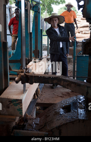 NAMPULA, MOZAMBIQUE, May 2010 : Chinese employees operate the cutting machines. Green Timber, a Chinese-owned timber concession Stock Photo