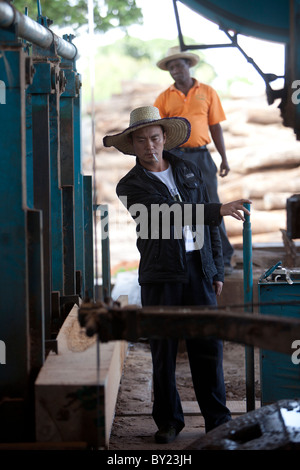 NAMPULA, MOZAMBIQUE, May 2010 : Chinese employees operate the cutting machines. Green Timber, a Chinese-owned timber concession Stock Photo