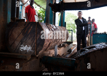 NAMPULA, MOZAMBIQUE, May 2010 : Chinese employees operate the cutting machines. Green Timber, a Chinese-owned timber concession Stock Photo