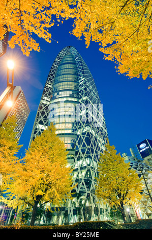 Asia, Japan, Tokyo, Shinjuku, Tokyo Mode Gakuen Cocoon Tower, Design School building, yellow ginkgo leaves Stock Photo