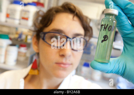 Scientist ar work Stock Photo
