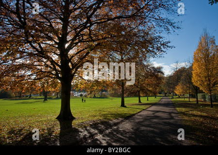 A walk in the park on an Autumn day Stock Photo