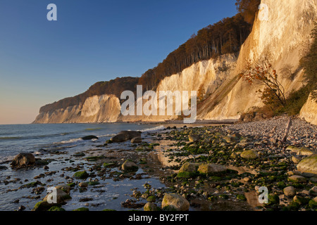 Chalk cliffs and beach in Jasmund National Park on Rugen / Rügen Island on the Baltic Sea, Germany Stock Photo