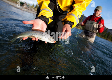 Fish Caught by Fly Fishing Tackle. Survival in Hikes. Grayling Stock Image  - Image of mountain, survival: 108612587