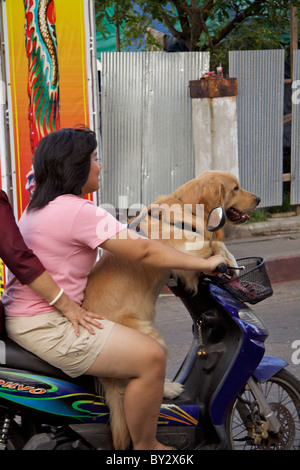 Three passengers on a small moped (including a golden retriever) leave the Mahachai (Samut Sakhon) Market in Samut Songkhram Stock Photo