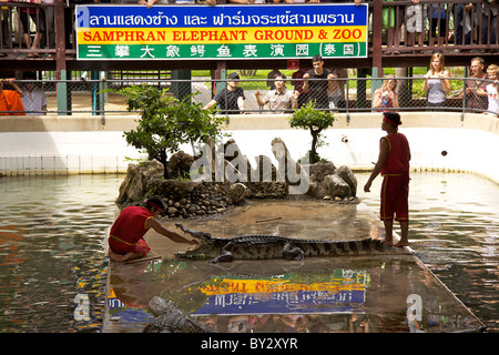 Crocodile wrestling show at the Samphran Elephant Ground and Crocodile Farm at Nakhon Pathom Stock Photo