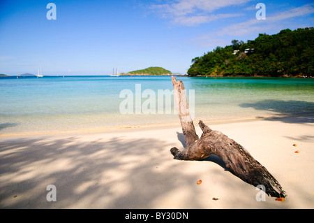 MAHO BAY, St. John, US Virgin Islands — Driftwood rests on the sandy shore of Maho Bay, a picturesque beach on the north shore of St. John in the US Virgin Islands. The pristine white sand and clear turquoise waters exemplify the natural beauty of Caribbean beaches within the Virgin Islands National Park. Stock Photo