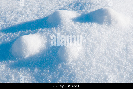 Lying snow after hard frosts showing crystals and sugar like texture, Dartmoor, Devon UK Stock Photo