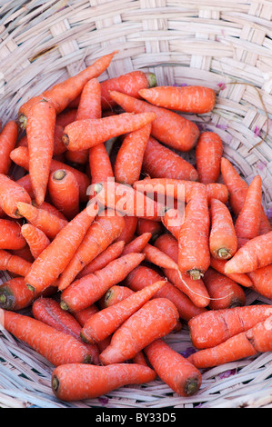 Basket of carrots at an Indian market. India Stock Photo