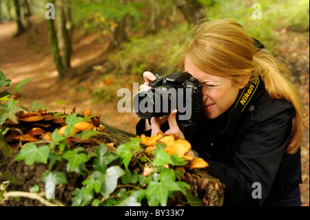 A girl using a Nikon digital single lens reflex DSLR camera to take a close up macro photography of fungi Stock Photo