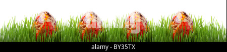 Easter eggs in green grass isolated on white background Stock Photo