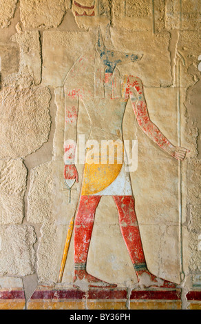 anubis - ancient egypt color image on wall in luxor Stock Photo
