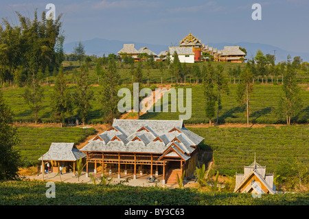 Tea Research Institute, Yunnan Province, Xishuangbanna, China. JMH4230 Stock Photo