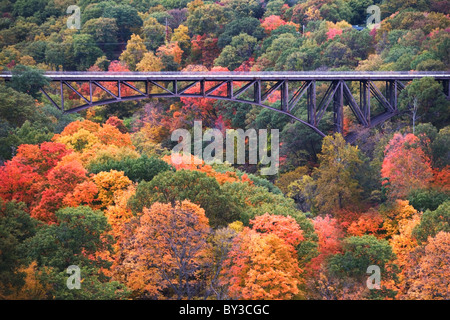 USA, New York, Bear Mountain, bridge in forest Stock Photo