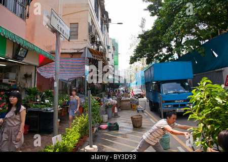 Flower Market Road, Kowloon, Hong Kong the place to be for all your plants and flowers in one place Stock Photo