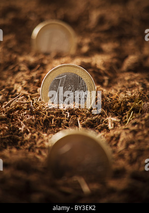 One Euro coins stuck in ground, close-up Stock Photo
