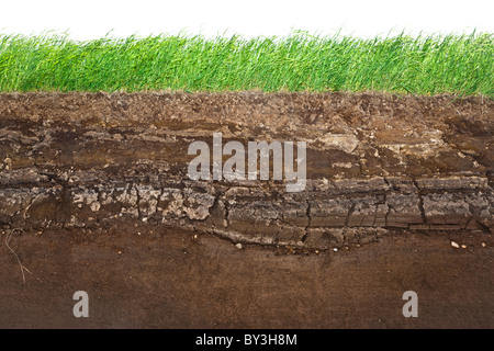 Cross section of green grass and underground soil layers beneath Stock ...