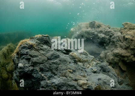 Scuba diver in Kleifarvatn, volcanic activity, Iceland Stock Photo