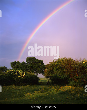 rainbow shining after summer thunderstorm over fields yorkshire uk Stock Photo
