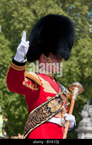 Changing of the Guard Ceremony in London Stock Photo