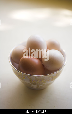 Free range eggs in a china bowl. Stock Photo