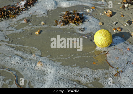 ball buoy washed up on sandy beach, foam, seaweed . Stock Photo