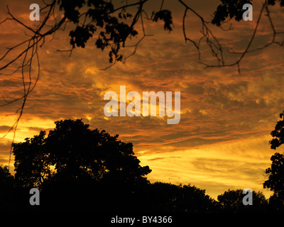 Red sky after a severe wind storm with tornadoes in Toronto, Ontario, Canada. August, 2009. Stock Photo