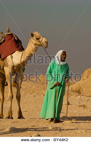 Camel drivers, Step Pyramid of King Zoser, Saqqara, Egypt ...