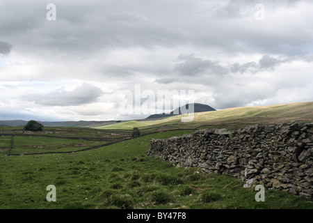 A field and dry stone wall with view of Pen Y Ghent near Stainforth in Yorkshire Dales Stock Photo