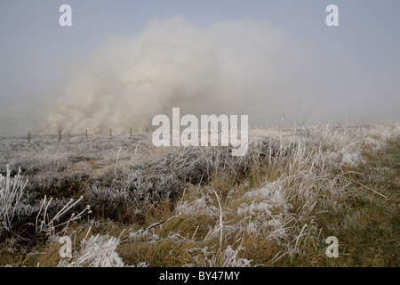 Rising smoke from heather moors burning on a frosty morning on the North York Moors. Stock Photo