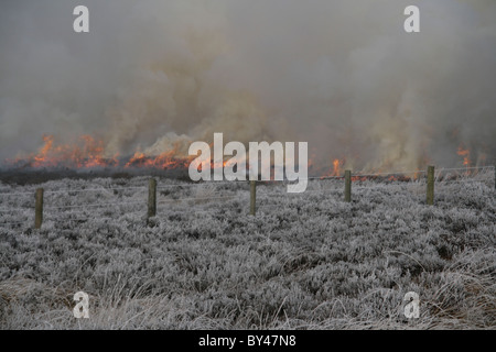 Winter heather burning Stock Photo