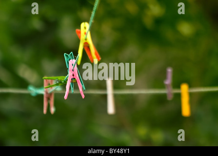 Cloth Pins hanging on the string, amung the trees in the garden. Shallow DOF. Stock Photo