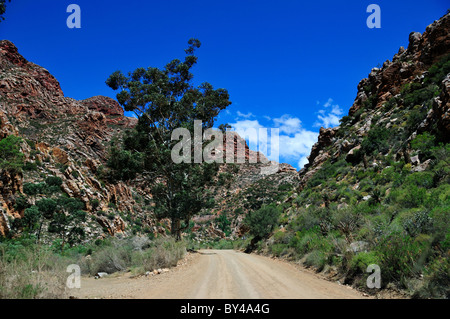 Mountain road to the Swartberg Pass. Prince Albert, South Africa. Stock Photo
