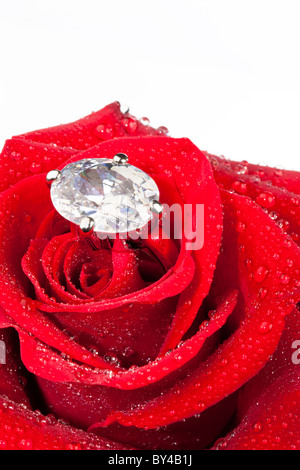 Red rose with diamond ring inside covered with water droplets Stock Photo