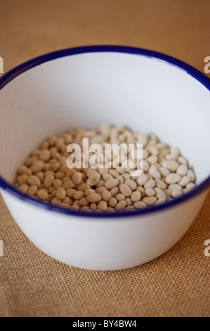 Lentils in white bowl Stock Photo