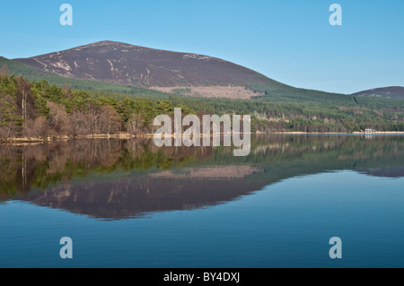 Pine forest reflected on Loch Morlich nr Aviemore Highland Scotland Stock Photo