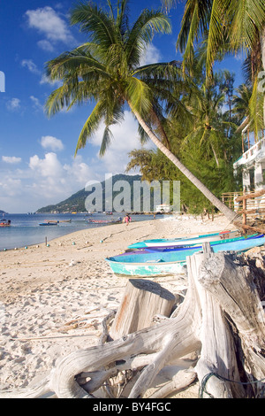 beach on Koh Tao Island Stock Photo