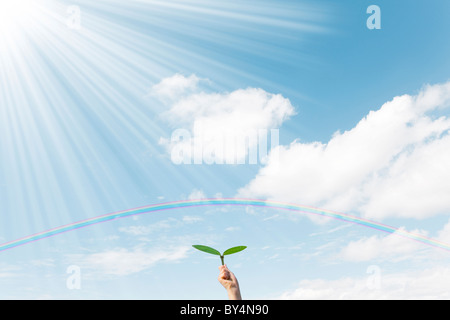 Hand Holding Up Sprout Stock Photo