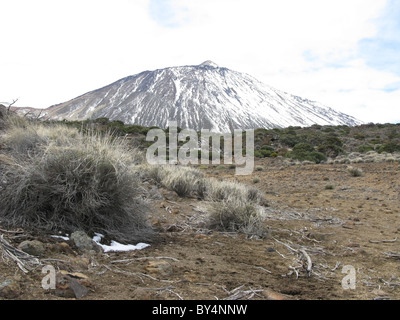 Looking up at snow covered Mount Teide from volcanic landscape, Tenerife, Islas Canarias (Canary Islands), Spain. Stock Photo