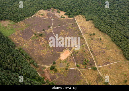 Aerial view of Cannock Chase with Bridle paths and cycle tracks Stock Photo