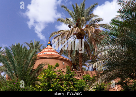 Topical foliage and architecture at the Riad Hotel Lamane in Zagora, Morocco, North Africa. Stock Photo