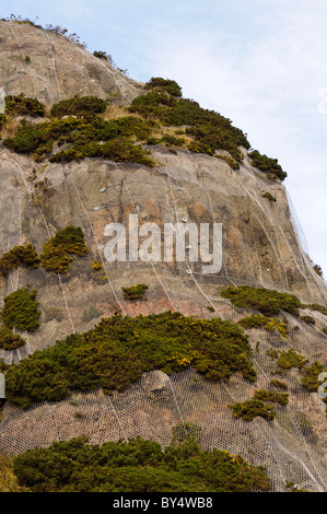 Rocky cliff covered in protective mesh to prevent falling rocks Stock Photo