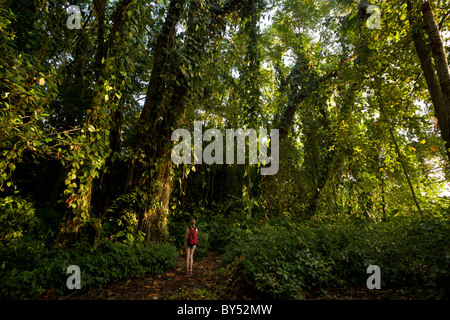 Young woman exploring the coastal rainforest of southern Puerto Viejo on the Caribbean coast of Costa Rica. Stock Photo