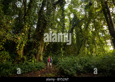 Young couple exploring the coastal rainforest of southern Puerto Viejo on the Caribbean coast of Costa Rica. Stock Photo