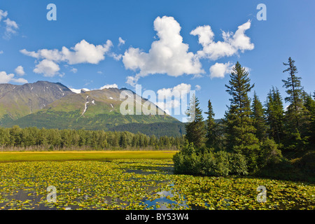 Wetlands along the Seward Highway on the Kenai Peninsula of Alaska Stock Photo