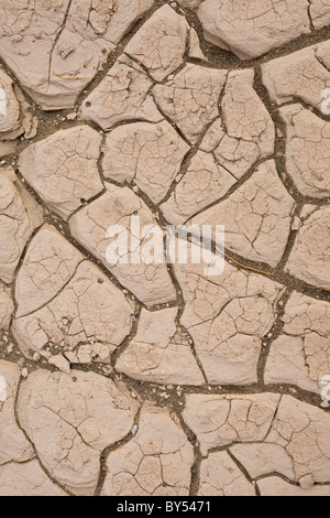 Dried mud cracks in the ancient lakebed of the Mesquite Flat Sand Dunes in Death Valley National Park, California, USA. Stock Photo