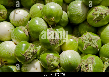 Close-up of Organic tomatillos at the Coventry farmers market, Connecticut Stock Photo